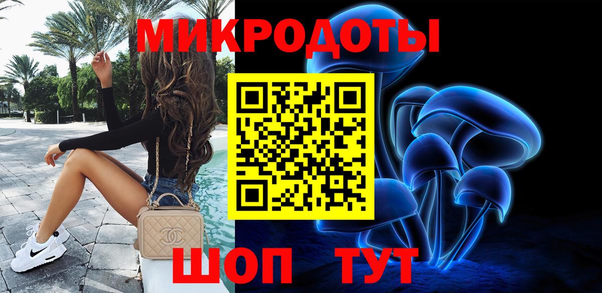 Псилоцибиновые грибы Psilocybe Кирово-Чепецк