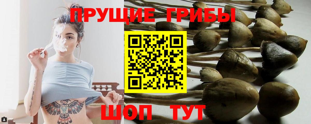 Кирово-Чепецк  Галлюциногенные грибы ЛСД  Вход с VPN  Галлюциногенные грибы прущие грибы 